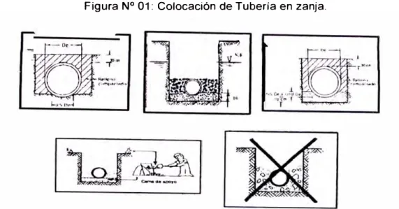Figura N º  01:  Colocación  de Tubería en  zanja. 