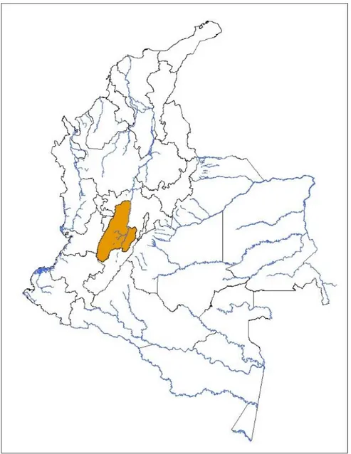 Ilustración 1: Mapa ubicación del departamento del Tolima en Colombia 