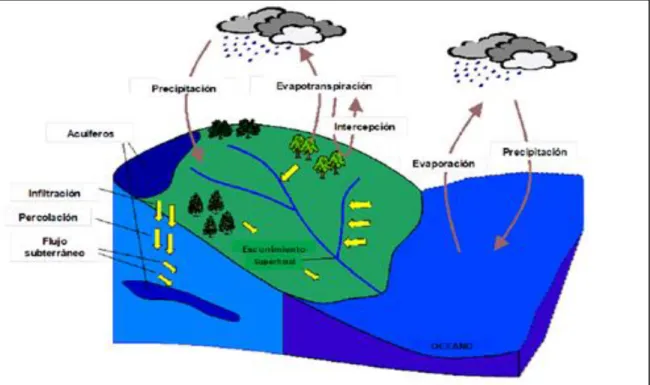 Figura  4: Representación del Ciclo Hidrológico.(Fuente: Musy, André. 2001) 