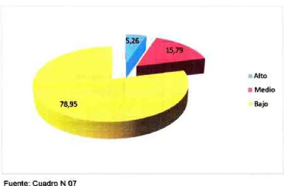 Gráfico Nº 07. 