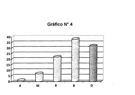 Gráfico  N°  4 