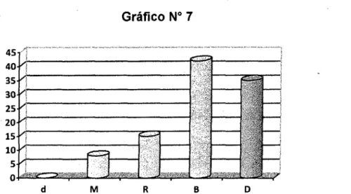 Gráfico N°  7  20  15  '-;  ----------..,....----1  10  S  A - - - - - - - - 1   d  M  R  B  D 
