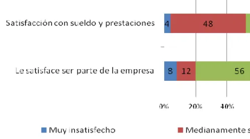 Figura 5: Satisfacción (cifras porcentuales) 