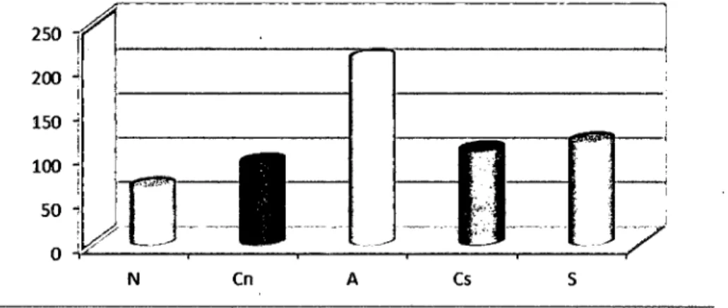 Gráfico N° 1 