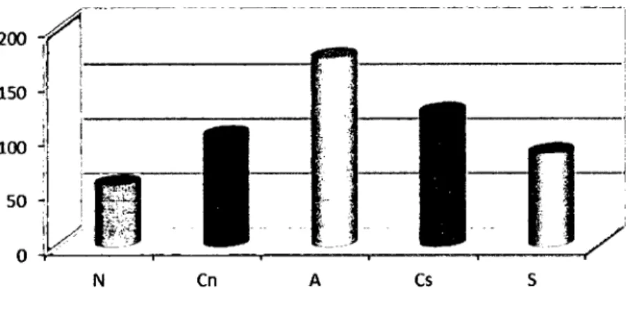 Gráfico N° 3 