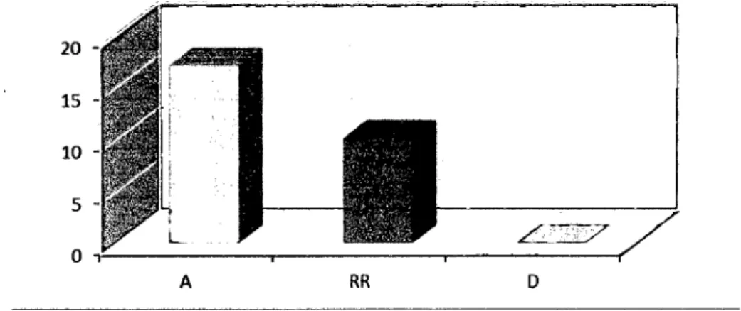 Gráfico N° 6 