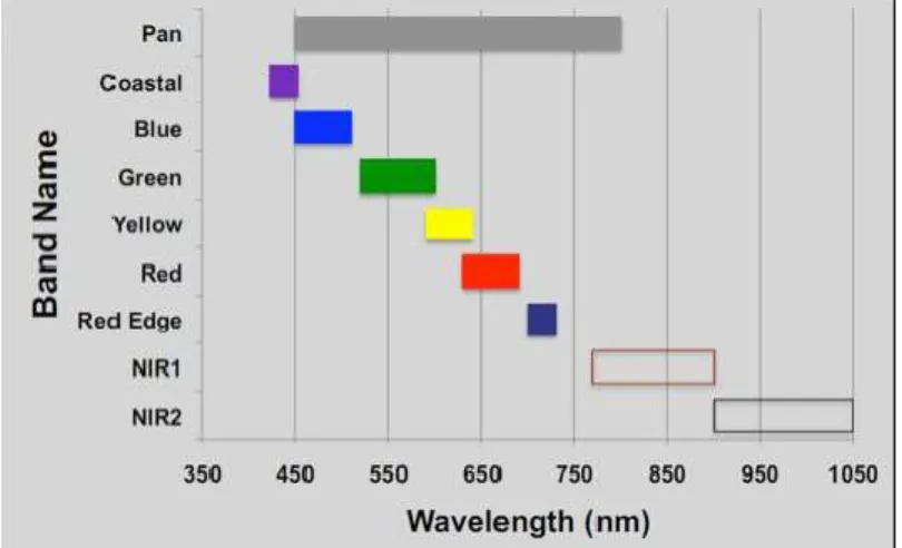 Figura 1. Longitud espectral de las bandas del sensor del satélite World View 2. 