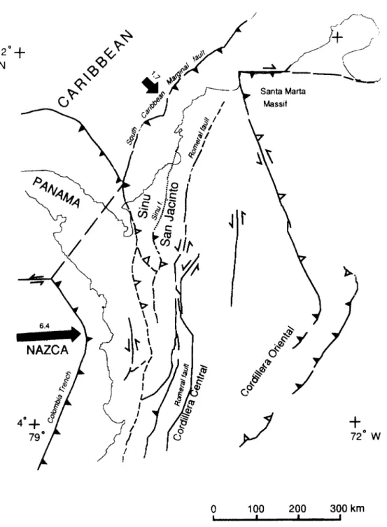 Fig, 1. Tectonic m a p  showing the location of the Sinu and San Jacinto fold  belts. Present-day plate motions (bold arrows) relative  to the North A n d e a n   microplate showing average slip rates (cm yr-1) during the last 5 to 10 million years, after 
