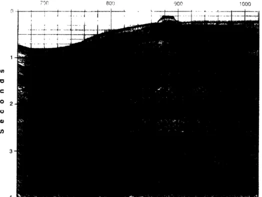 Fig.  3.  W e s t e r n  end of m u l t i c h a n n e l  seismic profile  156.  The  s t r u c t u r e   is i n t e r p r e t e d  as  a  growth fault-bend fold (bottom)