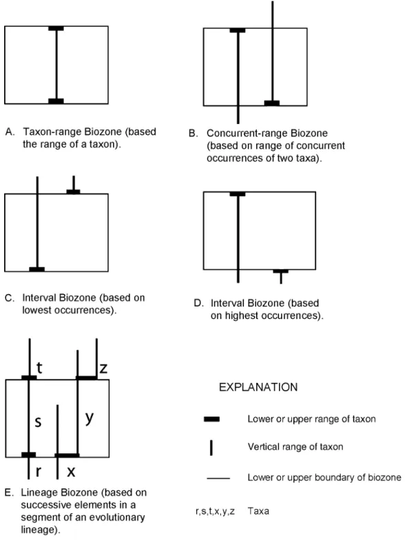 Figure 4. Examples of range, lineage, and  inter-val biozones.
