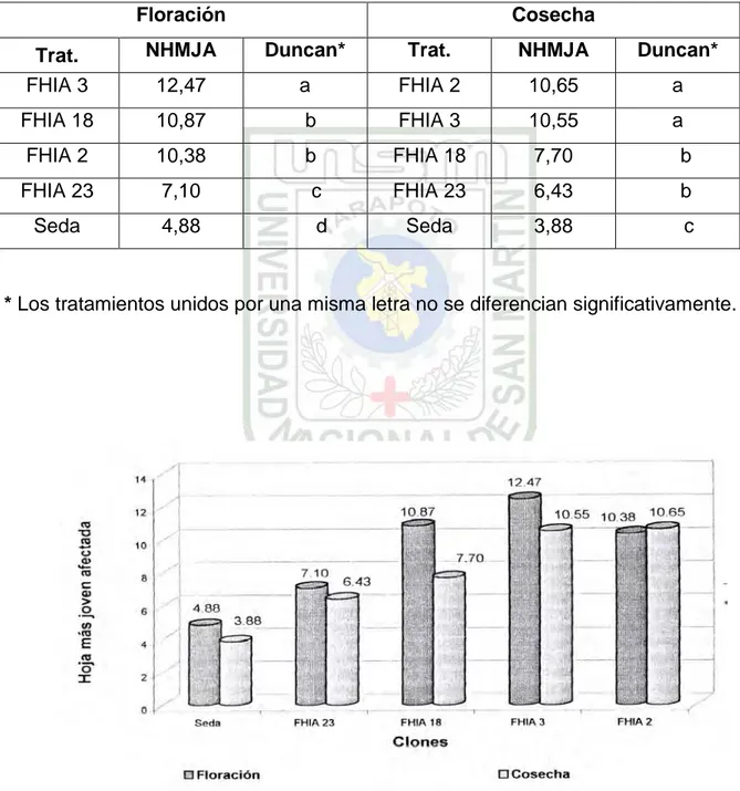 Cuadro  8:  Prueba de Duncan para promedio del número de  hoja más joven  afectada (NHMJA) a la floración y cosecha