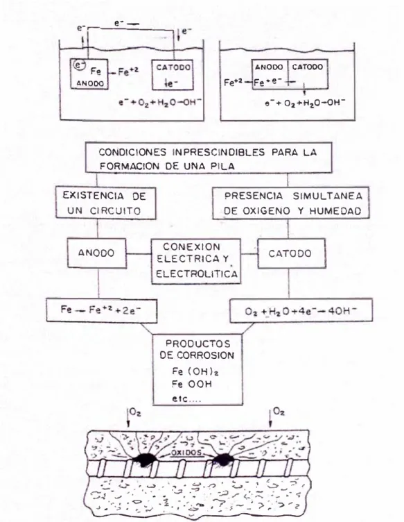 Figura  l. 1  Formación de la Pila de  Corrosión &lt;2J