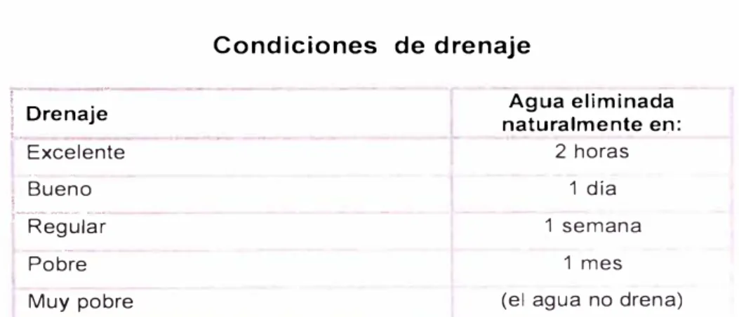 Cuadro N º  2.6  Condiciones  de drenaje  l  !  0.170/cm 0.100/cm  0.052/cm 0.056/cm 0.135/cm 0.120/cm  0.060 - 0.120/cm 0.039/cm .