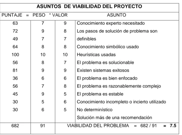 Tabla Nº 6: Formulario de determinación de viabilidad del proyecto  ASUNTOS  DE VIABILIDAD DEL PROYECTO 