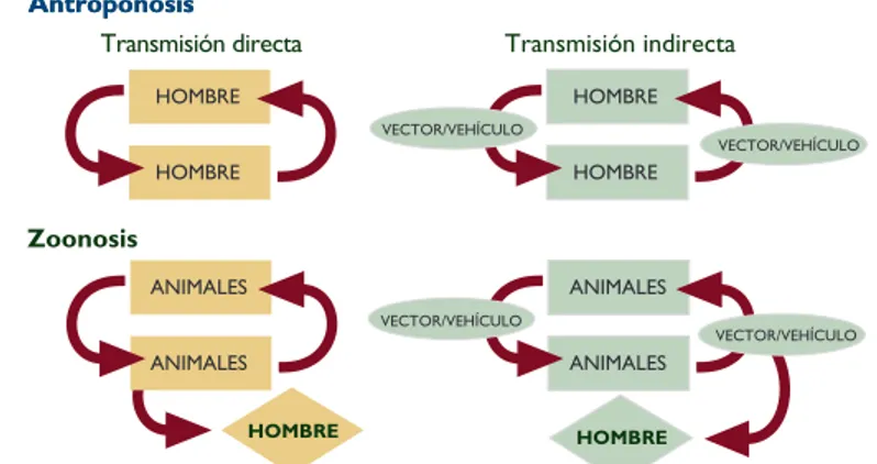 Figure 6.1: Cuatro tipos principales de ciclos de transmisión de infecciones (ref. 5)