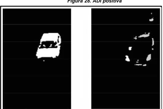 Figura 28. ADI positiva