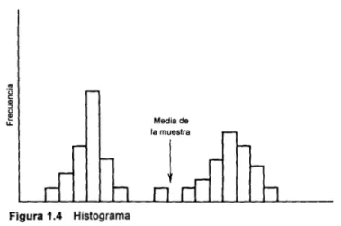 Figura 1.4  Histograma 