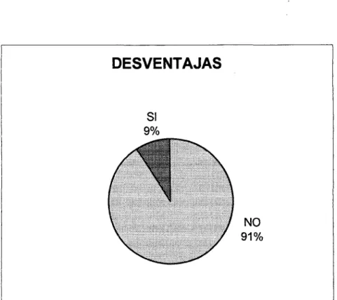 GRÁFICO 04  DESVENTAJAS  SI  9%  NO  91% 