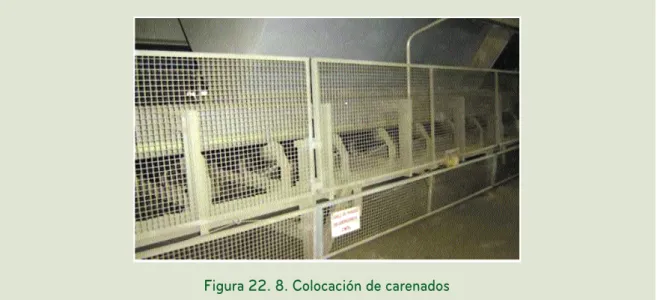 Figura 22. 8. Colocación de carenados