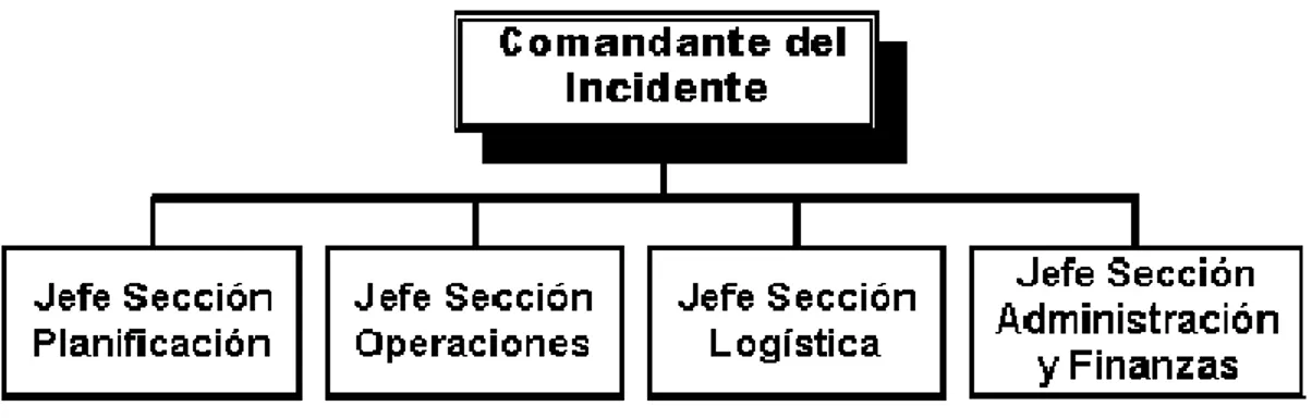Figura 2.  Jefes de Sección. 