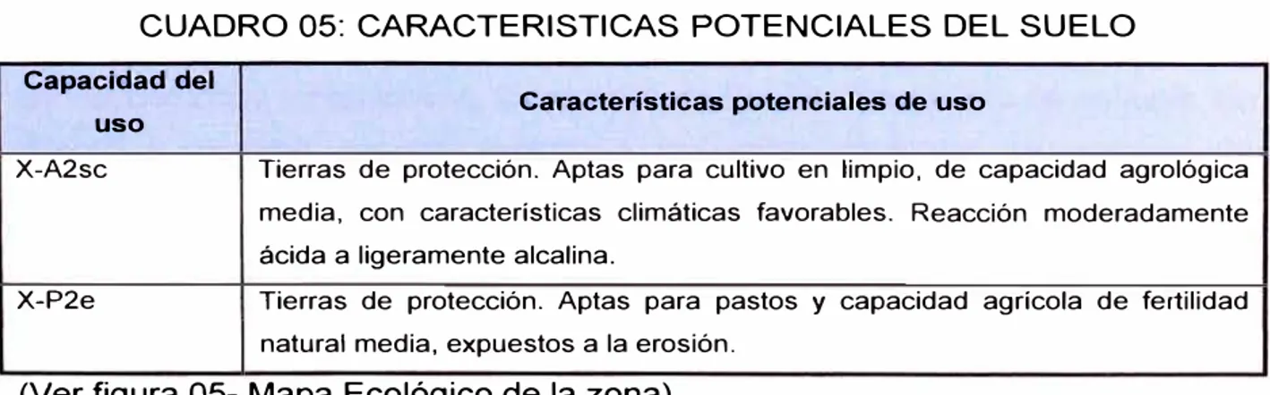 CUADRO 05:  CARACTERISTICAS  POTENCIALES DEL SUELO 