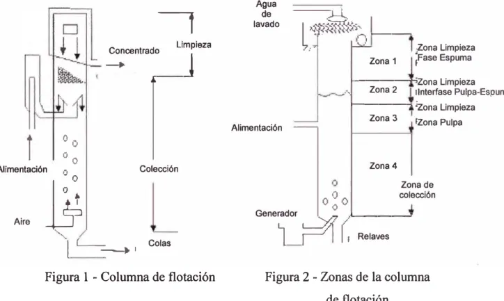 Figura 1 - Columna de flotación 