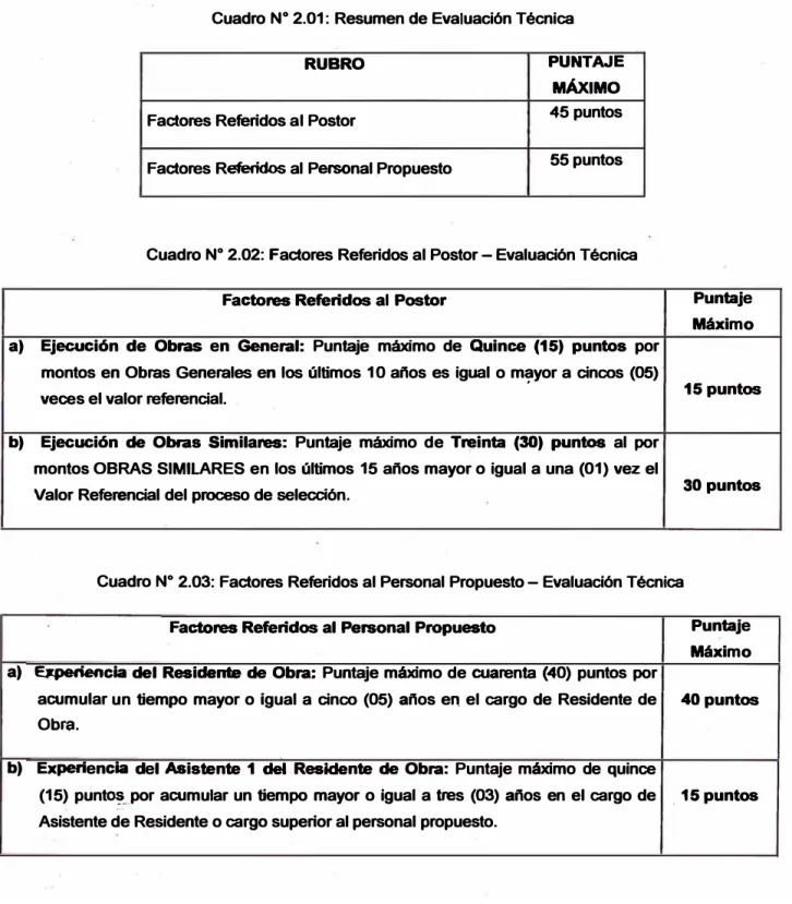 Cuadro N º  2.01: Resumen de Evaluación Técnica 
