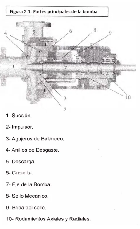 Figura 2.1: Partes :principales de la bomba  1- Succión. 2- Impulsor. 3  3- Agujeros de Balanceo