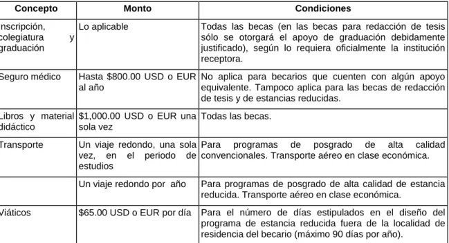 Tabla 6. Apoyos adicionales en programas del extranjero 