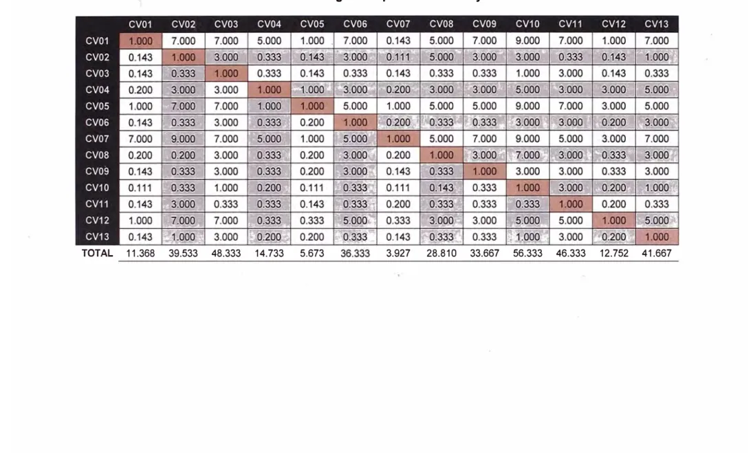 Tabla 8.1.2 Matriz de Sinergias - Tipo de Cobertura y Uso de Suelos 