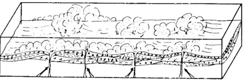 Figura 4.- Etapa I. Emplazamiento ignimbrítico mediante emanaciones de productos piroclásticos  provenientes de diferentes áreas fuente, provocando intercalación de facies (tomada de Scheubel, 1983)