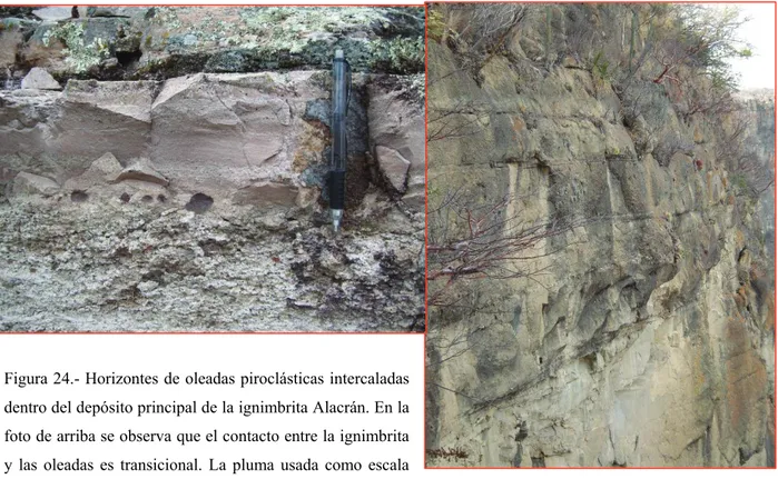 Figura 24.- Horizontes de oleadas piroclásticas intercaladas  dentro del depósito principal de la ignimbrita Alacrán