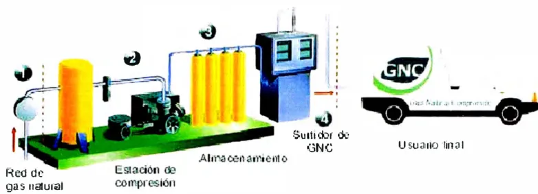 Fig. N º  4. Componentes de una Estación de Servicio 