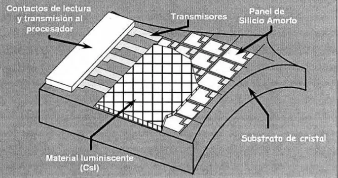 Fig.  1.8 Detector de panel plano de silicio amorfo.  Manual técnico de equipo de rayos X  digital, VMI Compacto Plus DR 2000, [9]