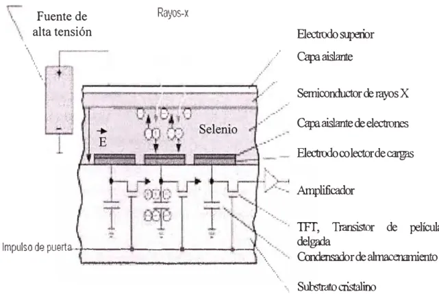 Fig.  1.9 Composición del detector de panel plano de selenio amorfo. Flat detector and their  clinical applications, Spahn M, 2005, [2] 