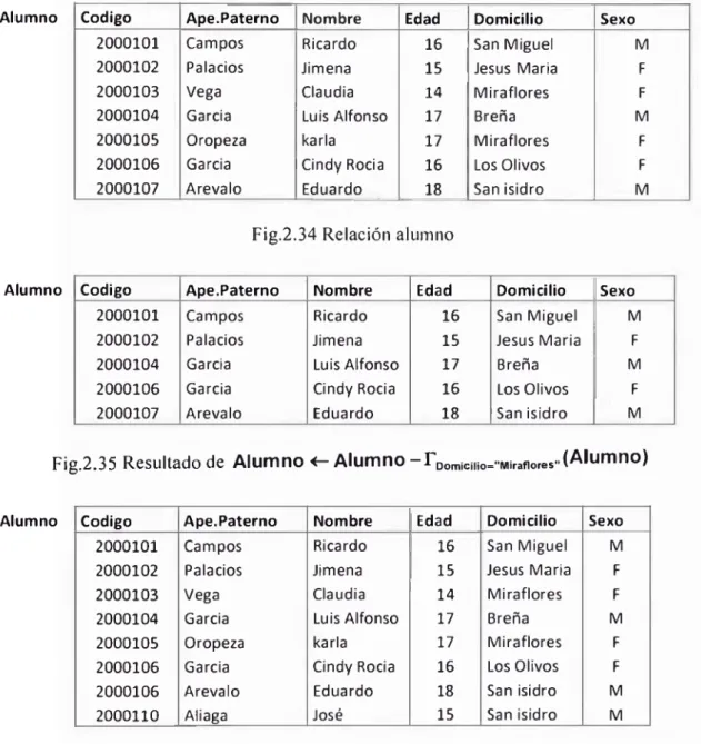 Fig.  2.36  Resultado de