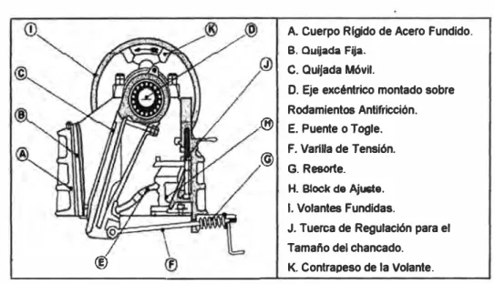 Figura N º  9: Componentes de la Chancadora de Quijadas 