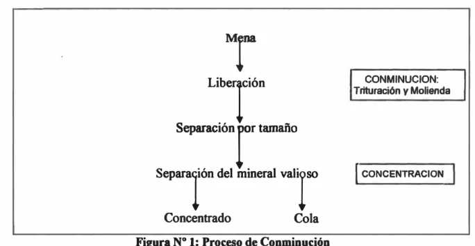 Figura N º  1: Proceso de Conminución 