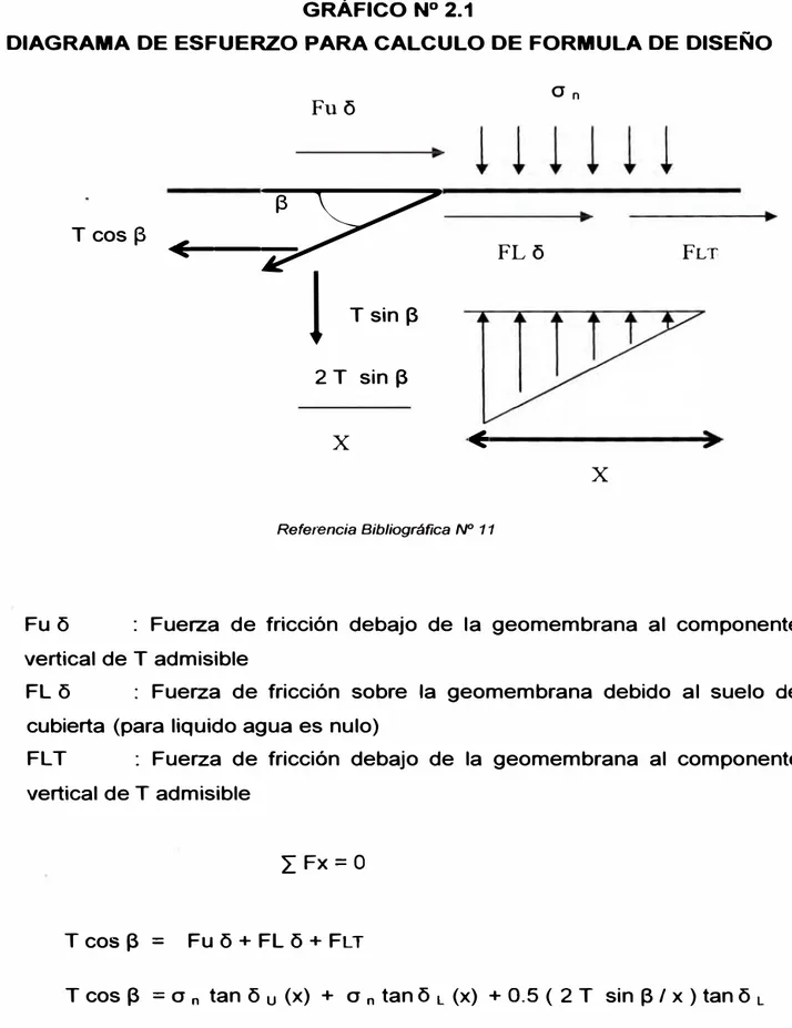 GRÁFICO N º  2.1 