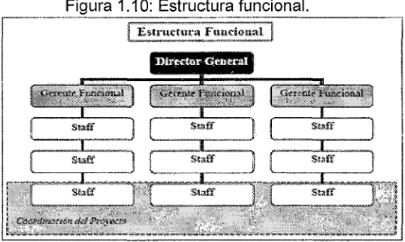 Figura  1.1 O:  Estructura funcional. 
