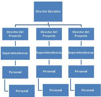 Figura 2.7   Organización orientada a proyectos (Resumen). 