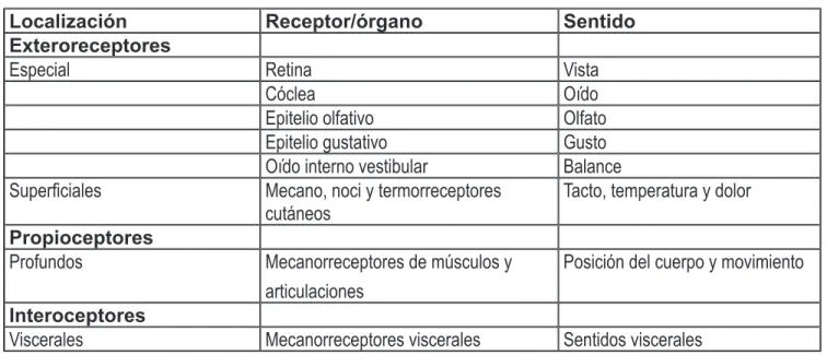 Cuadro 1.  Receptores sensoriales clasificados por localización