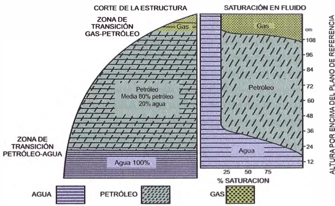 Fig.  1.2.- Diagrama  de  la  distribución  de  los  fluidos  en  un  almacén.  (Según  Levorsen,  Geology  of  Petroleum,  1956