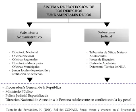 Gráfico 8. Estructura del Sistema de Protección de los Derechos Fundamentales de los  Niños, Niñas y Adolescentes 
