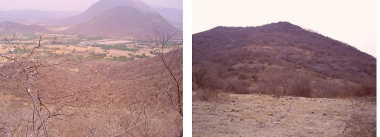 Figura 3. Paisajes antropizados, donde se desarrolla  precariamente la SBC en los cerros mientras en el valle  se  observa  un  mosaico  sujeto  a  diferentes  tipos  de  usos,  generalmente  agrícolas  (izquierda)  y  ganaderos  (derecha)