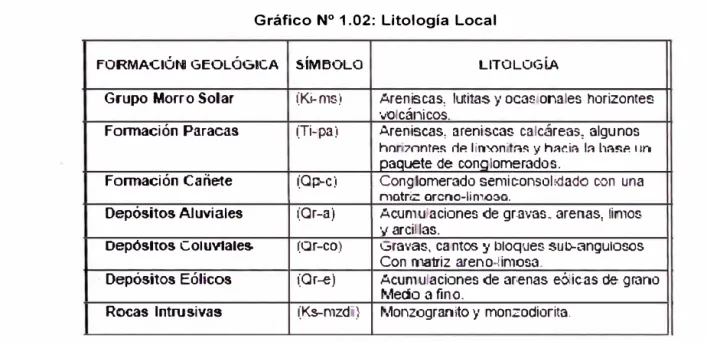 Gráfico  N º  1.02:  Litología  Local 