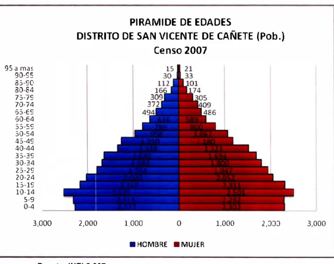 Gráfico N º  1.03:  Pirámide de edades 