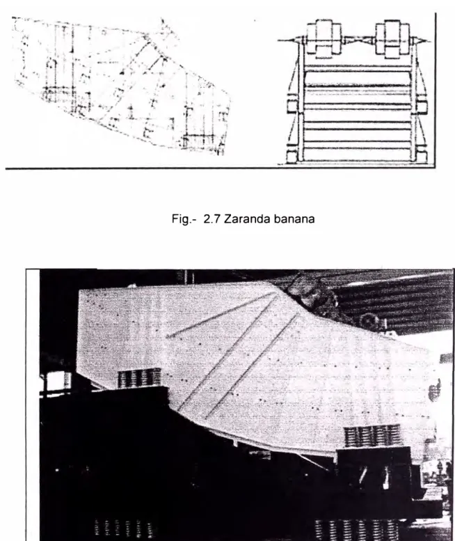 Fig.  2.8 Zaranda banana 