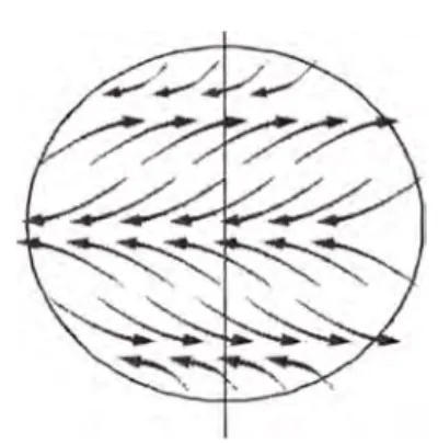 Fig. 1.1 Dirección de los vientos 