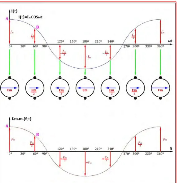 Fig. Nº 2.7: F.m.m. producida por un devanado concentrado alimentado con corriente  AC 